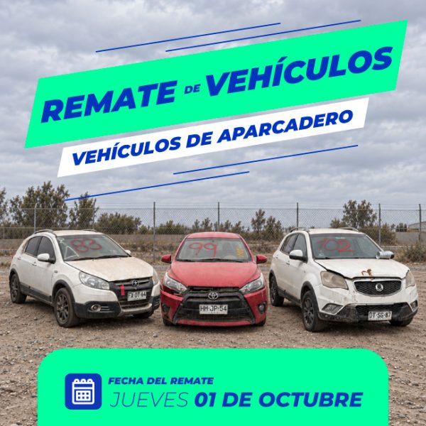 01OCTUBRE_Cat